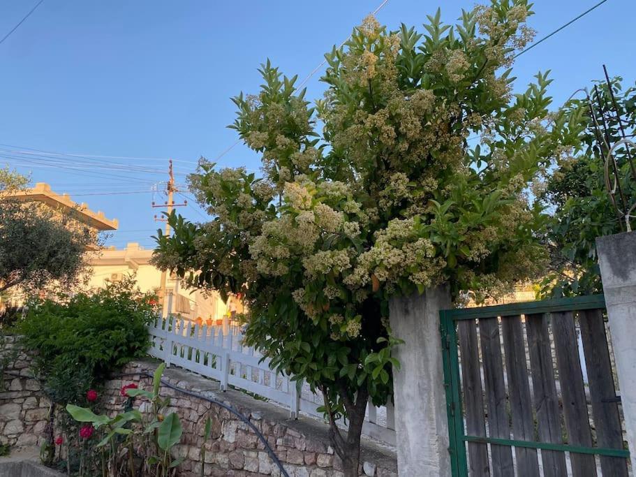 Guesthouse Xhimi Ksamil Kültér fotó