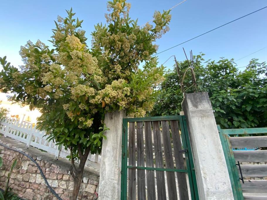 Guesthouse Xhimi Ksamil Kültér fotó