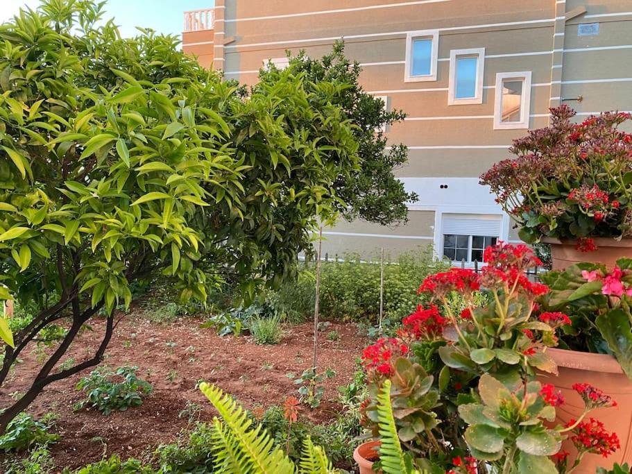 Guesthouse Xhimi Ksamil Kültér fotó